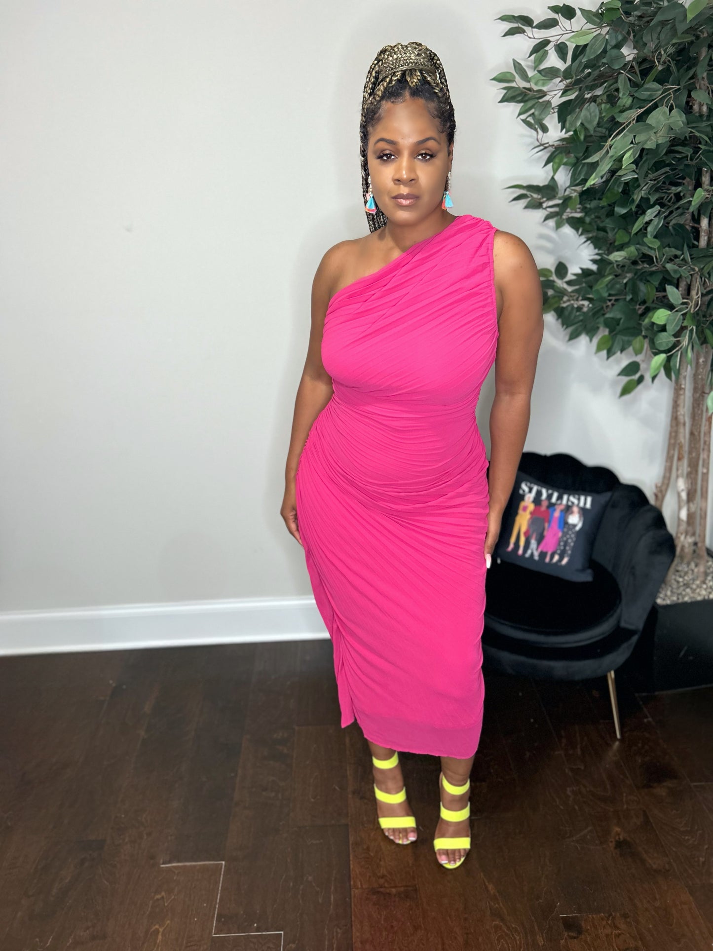 Curvy Fuschia Dress